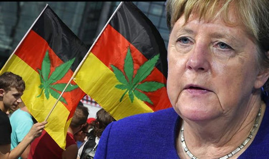 Merkel Out Mary Jane In! - Rolling Reporting #1