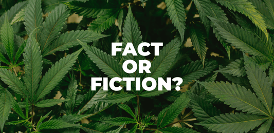 Dispelling Myths and Misconceptions: Separating Fact from Fiction about Medical Cannabis